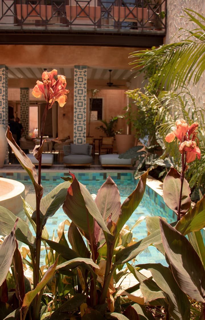 CIGNO Ermita Hotel Boutique