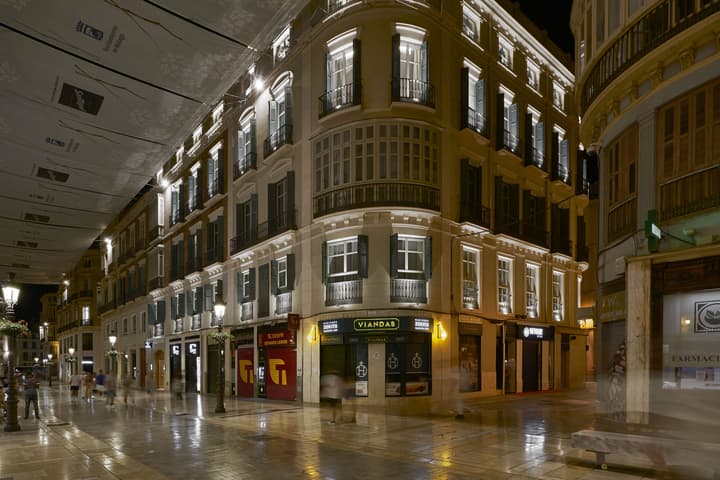 Hotel Vincci Larios Diez