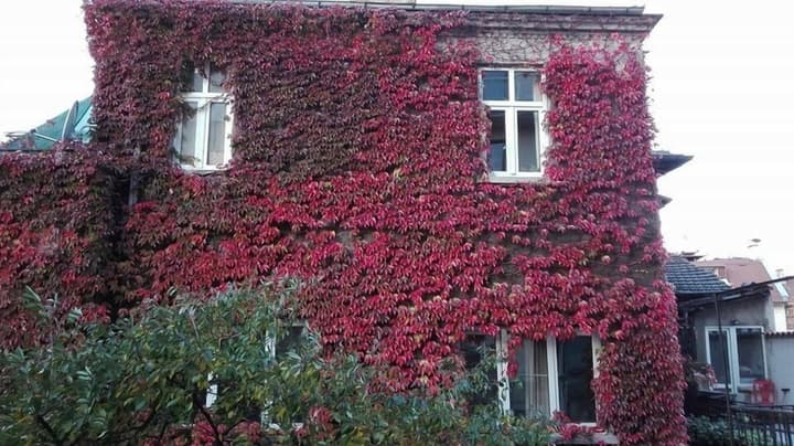 Hotel Favorit