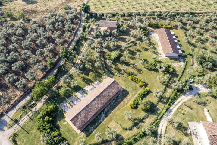 Azienda Agricola Il Bagolaro