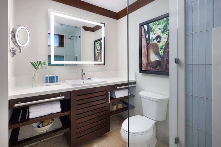 Sandals Barbados - ALL INCLUSIVE Adults Only