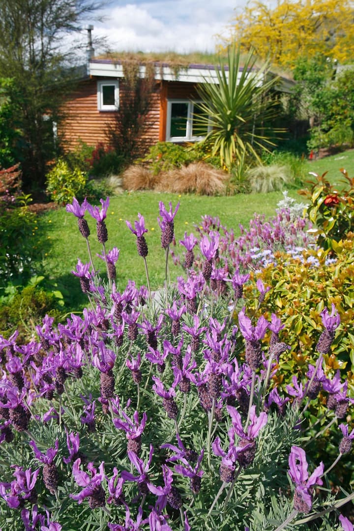 Joya Garden & Villa Studios