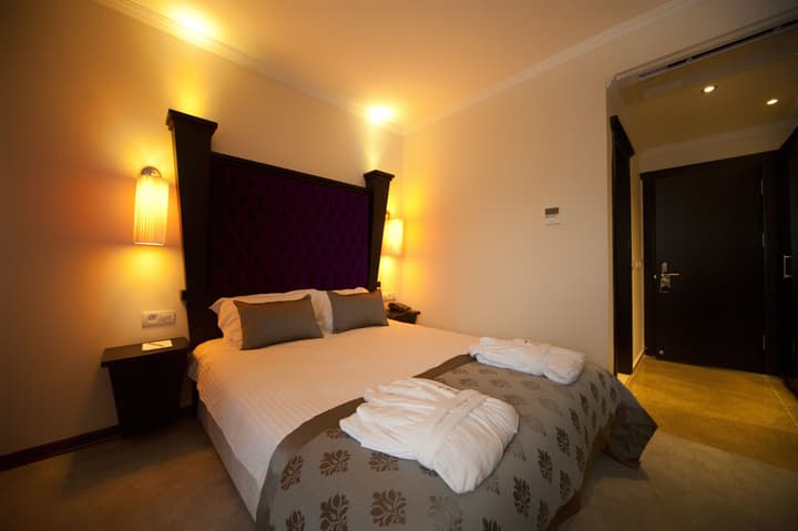 Blueberry Boutique Hotel - Boutique Class