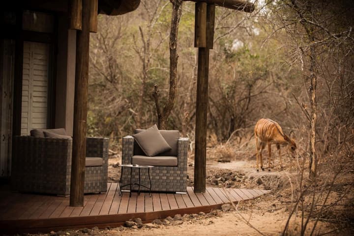 Moditlo River Lodge