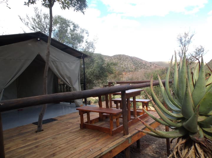 Old Mill Lodge, Working Ostrich Farm & Restaurant, Oudtshoorn