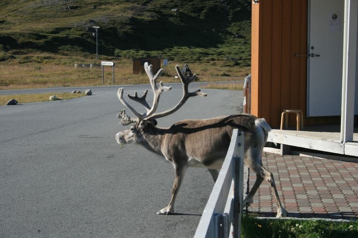 Nordkapp Camping