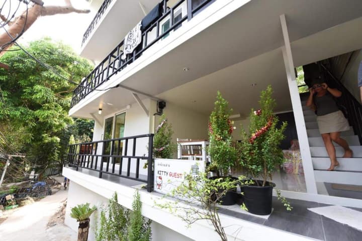 Kitty Guesthouse