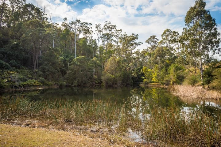 Robyns Nest Boutique Resort
