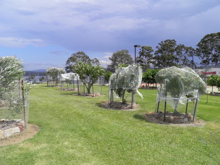 Robyns Nest Boutique Resort