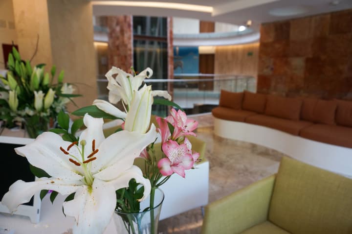 Senses Quinta Avenida By Artisan Adults Only