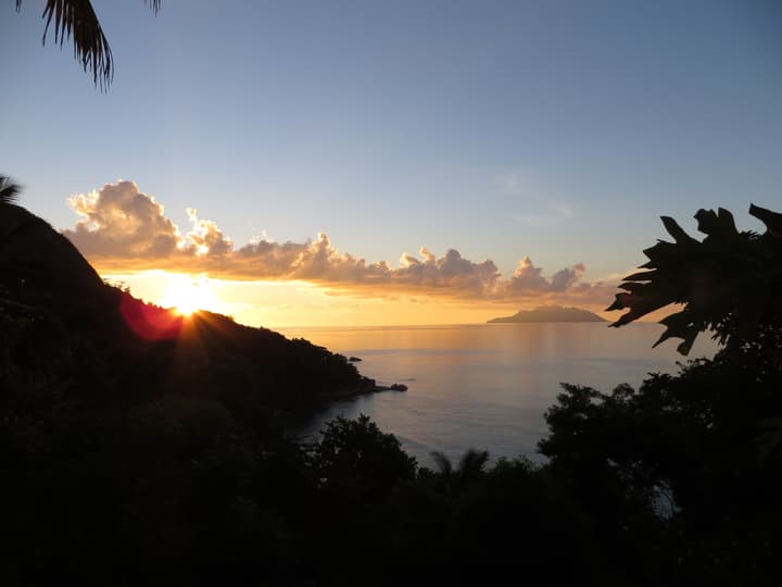 Treasure Cove
