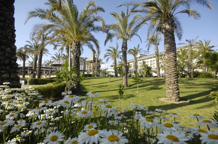 Sunis Kumköy Beach Resort Hotel & Spa - All inclusive