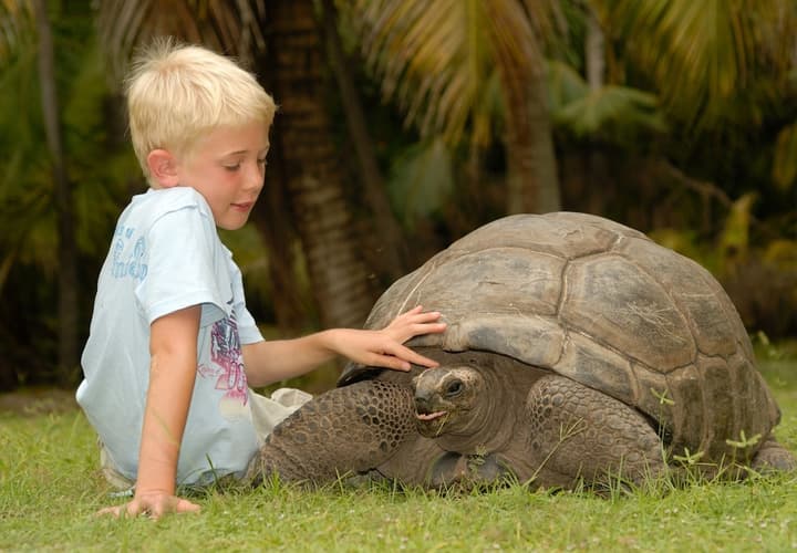 Savoy Seychelles Resort & Spa - Airone Selection