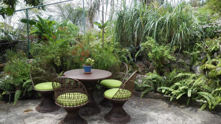 Neita's Nest - Jamaican Bed & Breakfast