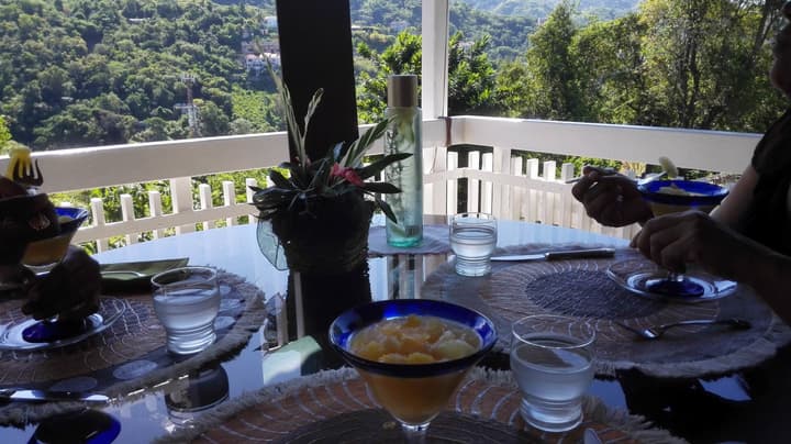 Neita's Nest - Jamaican Bed & Breakfast