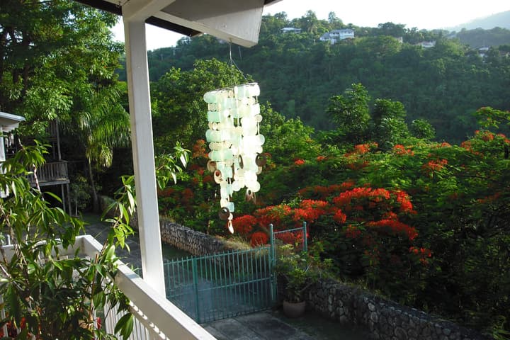 Neita's Nest - Jamaican Bed & Breakfast