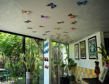 Butterfly House Bahia