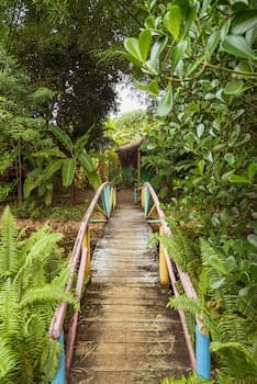 Butterfly House Bahia