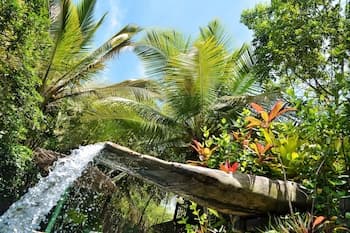 Butterfly House Bahia