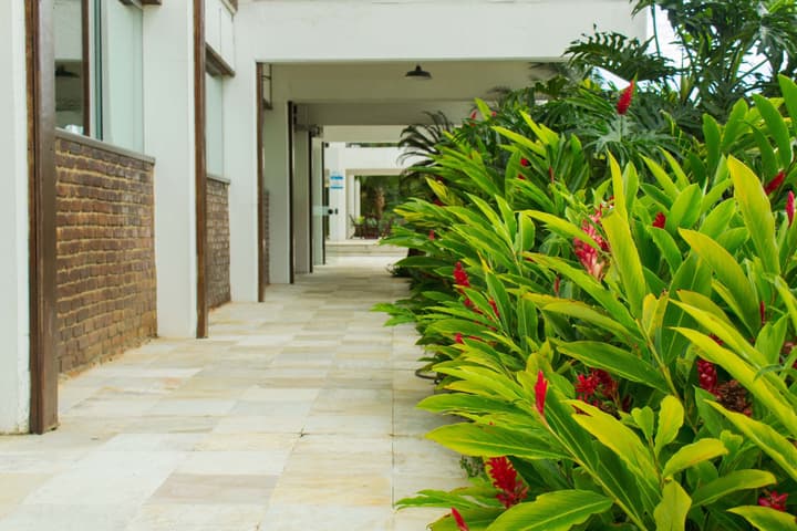 Portogalo Suite Hotel