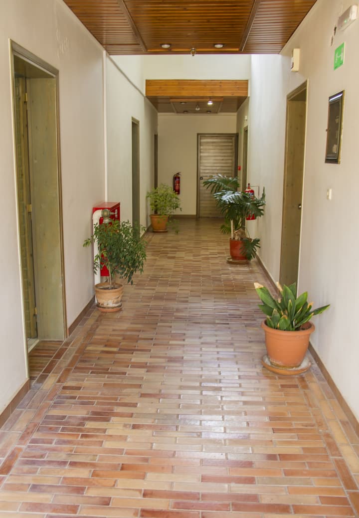 Lycasti Maisonettes