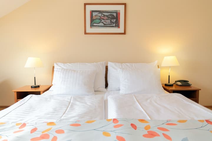 Hotel Orion