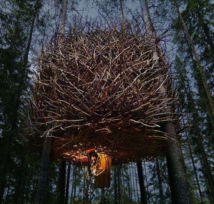 Tree Hotel