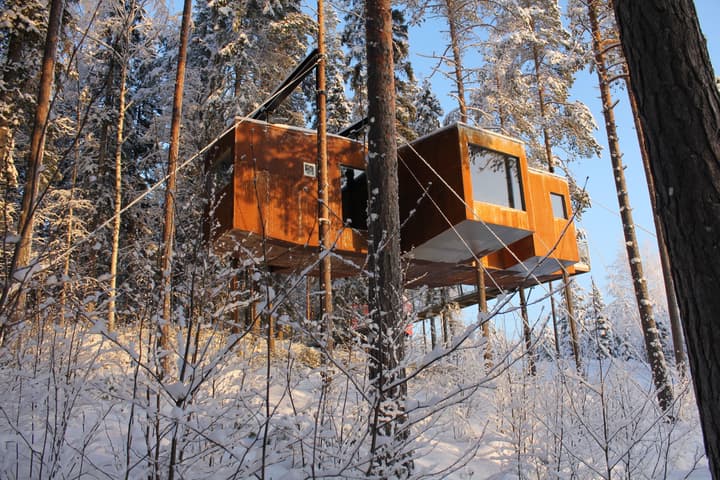 Tree Hotel