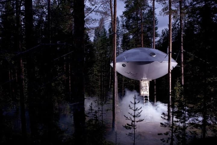 Tree Hotel