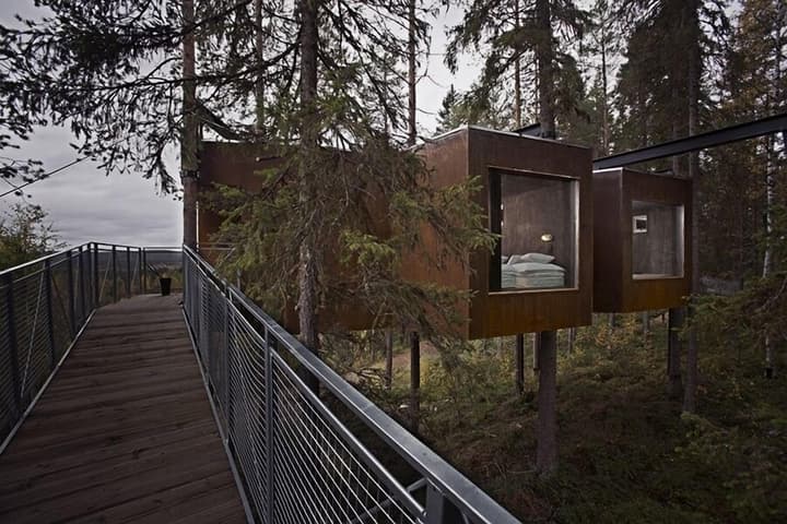 Tree Hotel