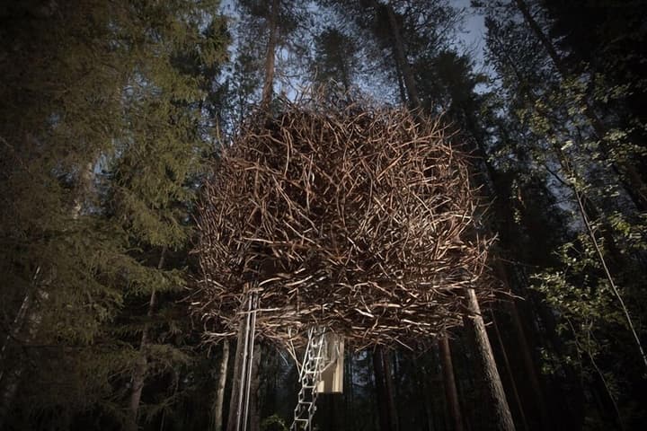 Tree Hotel
