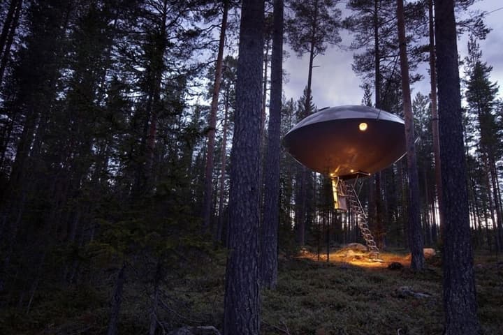 Tree Hotel