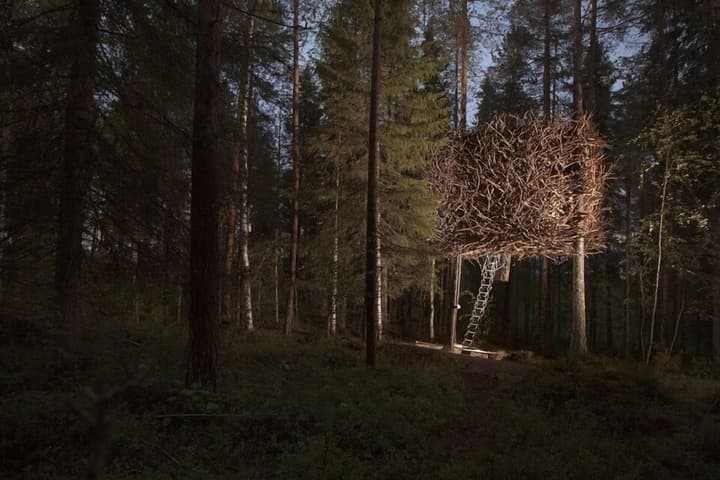 Tree Hotel