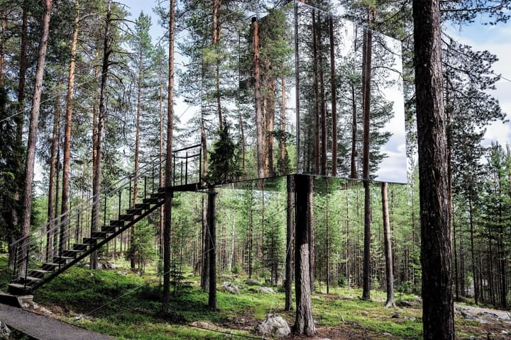 Tree Hotel