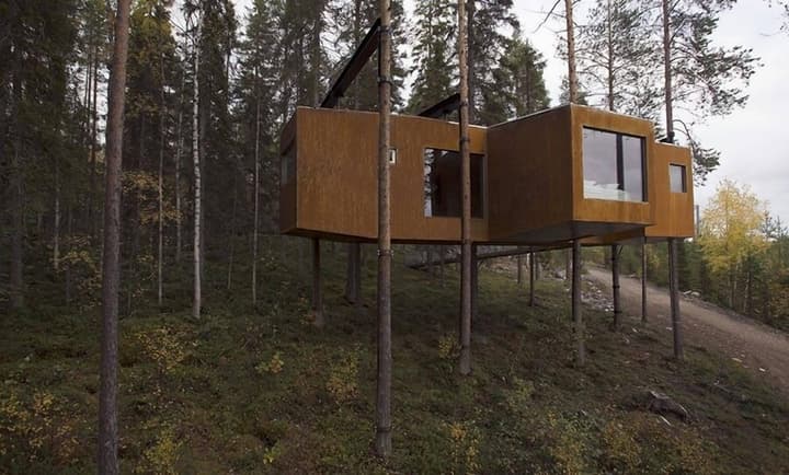 Tree Hotel