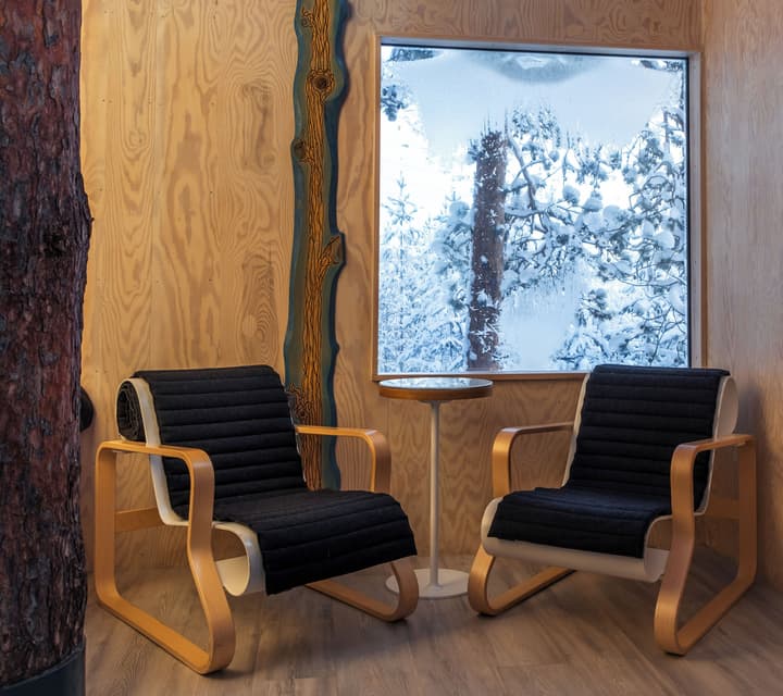 Tree Hotel
