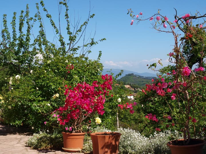 C'era una volta B&B