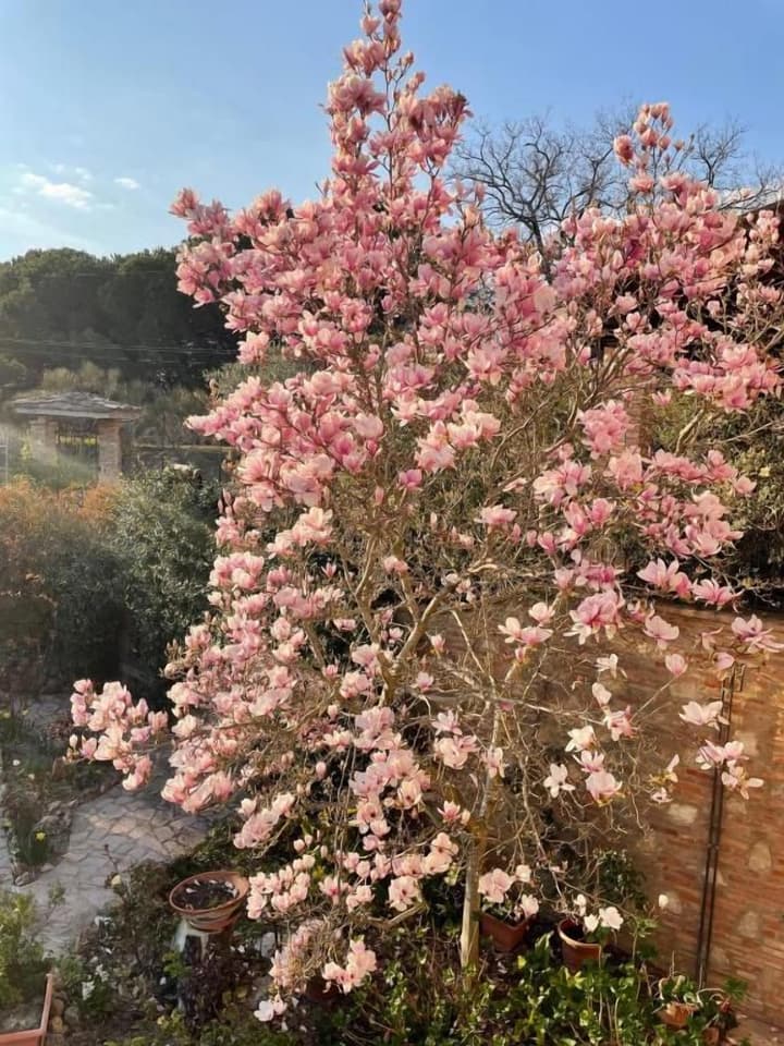 C'era una volta B&B