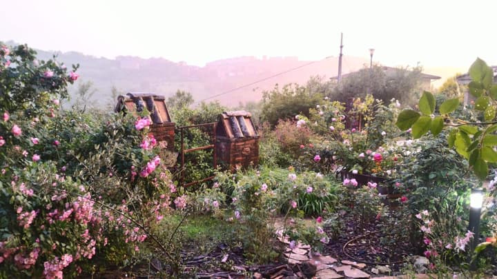 C'era una volta B&B