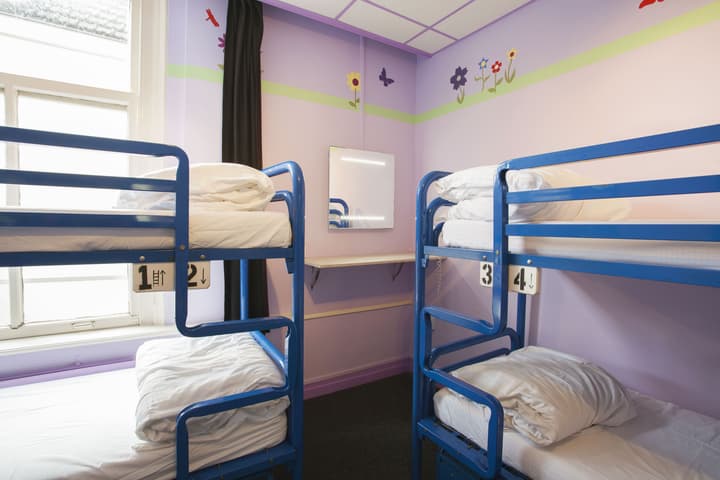 The Flying Pig Uptown Hostel