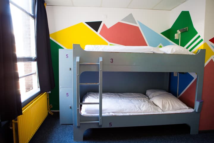 The Flying Pig Downtown Youth Hostel