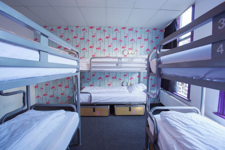 The Flying Pig Downtown Youth Hostel