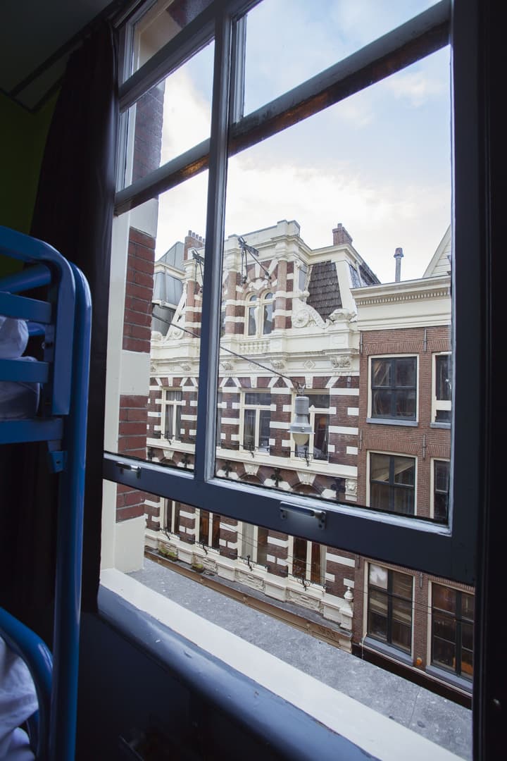 The Flying Pig Downtown Youth Hostel