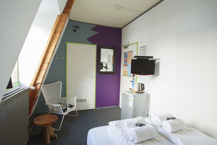 The Flying Pig Downtown Youth Hostel