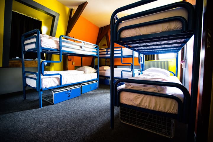 The Flying Pig Downtown Youth Hostel