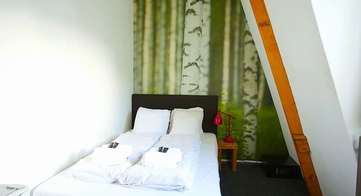 The Flying Pig Downtown Youth Hostel