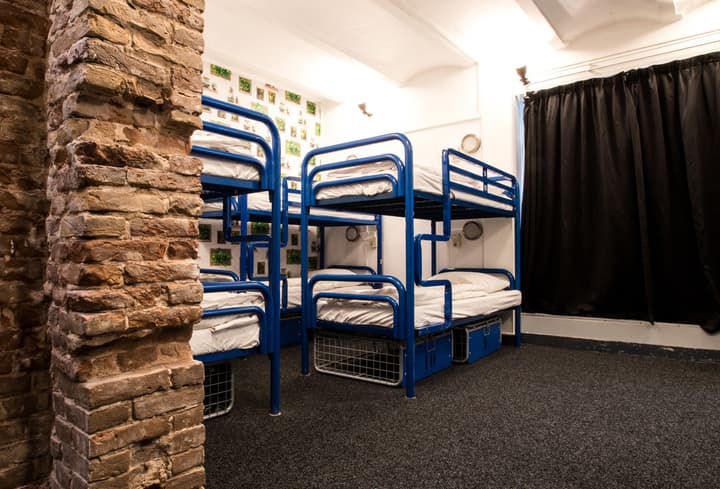 The Flying Pig Downtown Youth Hostel