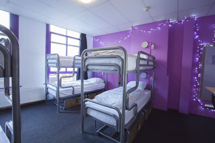 The Flying Pig Downtown Youth Hostel