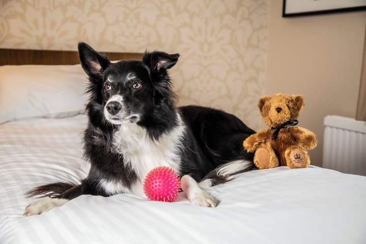 Crown Hotel Harrogate
