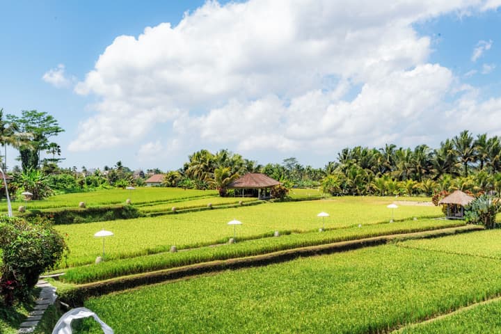 MATHIS Retreat Ubud